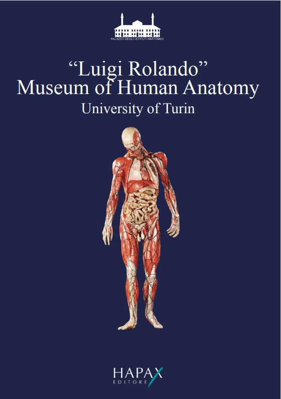 Il Museo di Anatomia Umana Luigi Rolando dell'Università di Torino