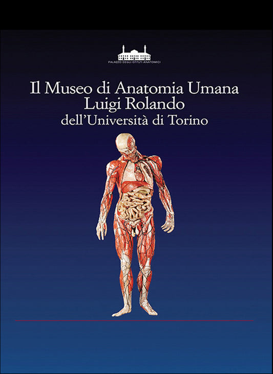 Il Museo di Anatomia Umana Luigi Rolando dell'Università di Torino